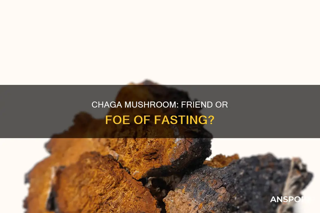 does chaga mushroom break a fast