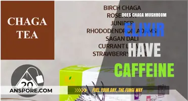Chaga Mushroom Elixir: A Caffeine-Free Superfood Tonic