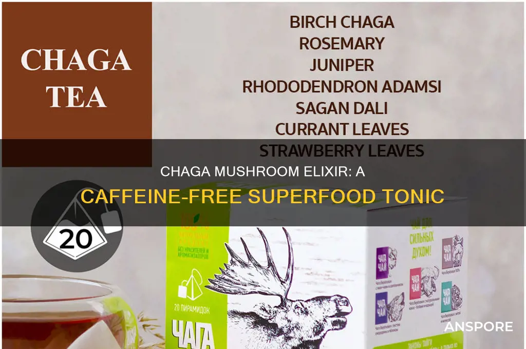 does chaga mushroom elixir have caffeine