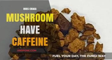 Chaga Mushrooms: A Caffeine-Free Alternative