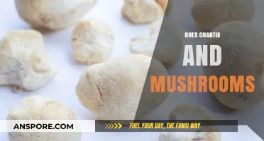 Chantix and Mushroom Mix: A Risky Cocktail