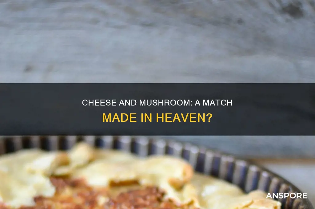 does cheadder cheese go with mushrooms