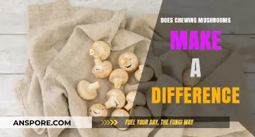 Chewing Mushrooms: Unlocking Nutrients or Just a Myth?