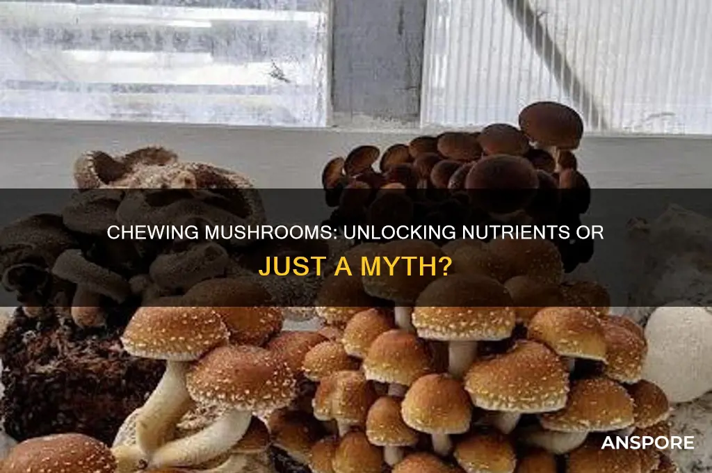 does chewing mushrooms make a difference