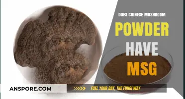Chinese Mushroom Powder: MSG or Myth?