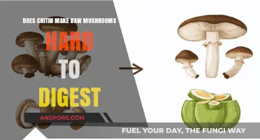 Chitin in Mushrooms: Why Raw Varieties Are Hard to Digest