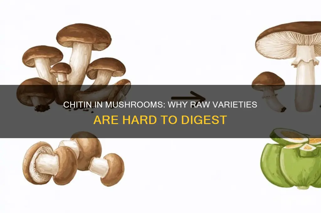 does chitin make raw mushrooms hard to digest