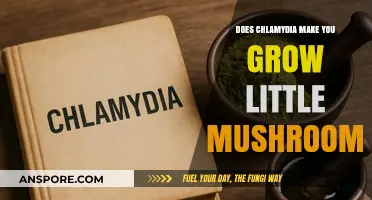 Chlamydia and Fungal Myths: Debunking the Mushroom Growth Claim