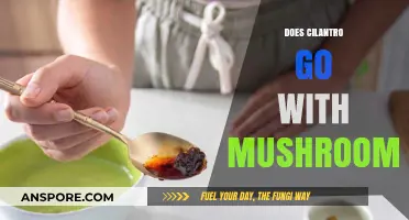 Cilantro and Mushrooms: A Culinary Match?