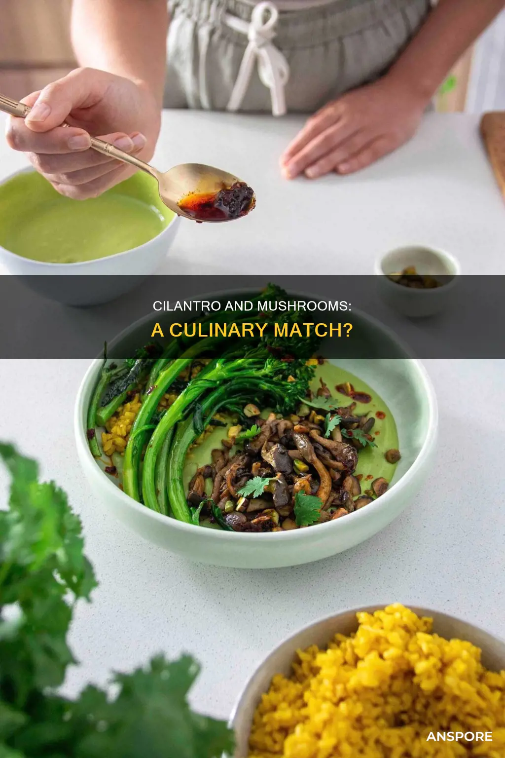 does cilantro go with mushrooms
