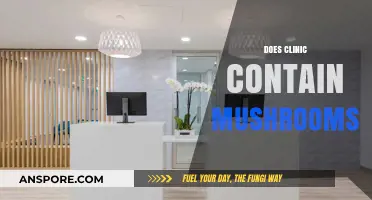 Mushrooms in Clinics: The Healing Power of Fungi