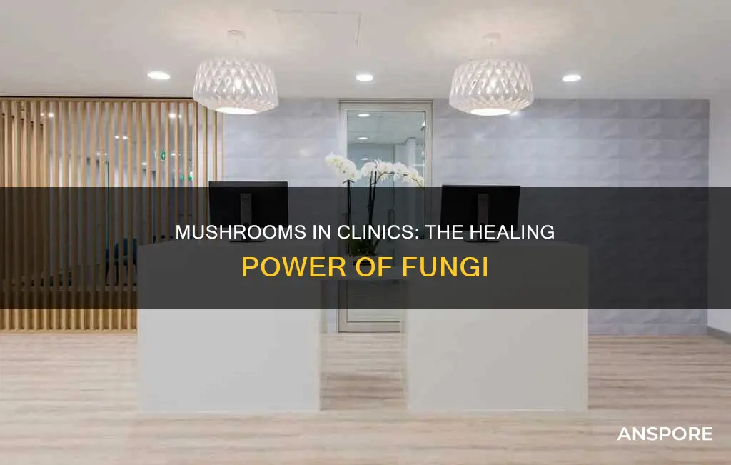 does clinic contain mushrooms
