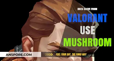 Does Clove from Valorant Use Mushrooms? Exploring Her Abilities