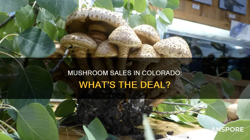does colorado sell mushrooms