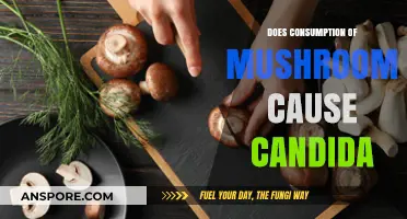 Mushrooms and Candida: A Complex Relationship