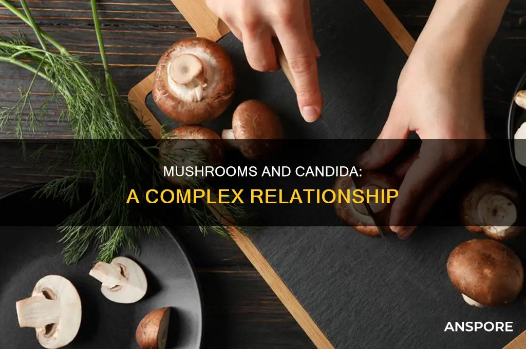 does consumption of mushrooms cause candida
