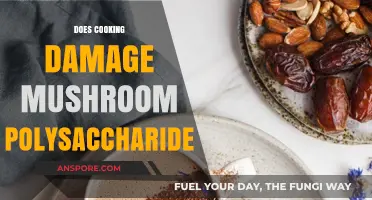 Cooking and Mushroom Polysaccharides: Preserving Nutrients or Causing Damage?