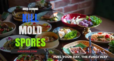 Cooking and Mold: Can Heat Destroy Spores in Food Safely?
