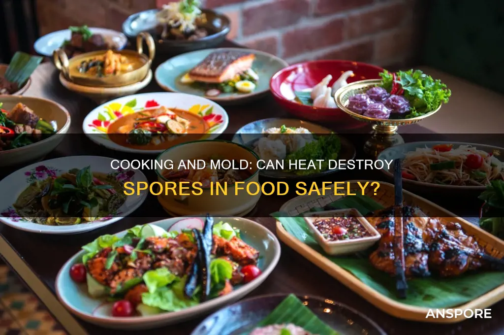 does cooking kill mold spores