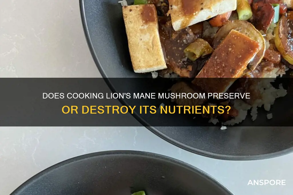 does cooking lion