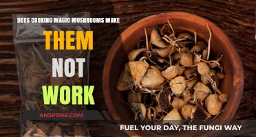 Cooking Magic Mushrooms: Does Heat Affect Their Psychedelic Effects?