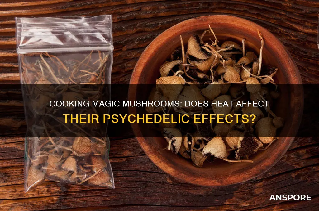 does cooking magic mushrooms make them not work