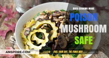 Can Cooking Neutralize Poisonous Mushrooms? Debunking a Deadly Myth
