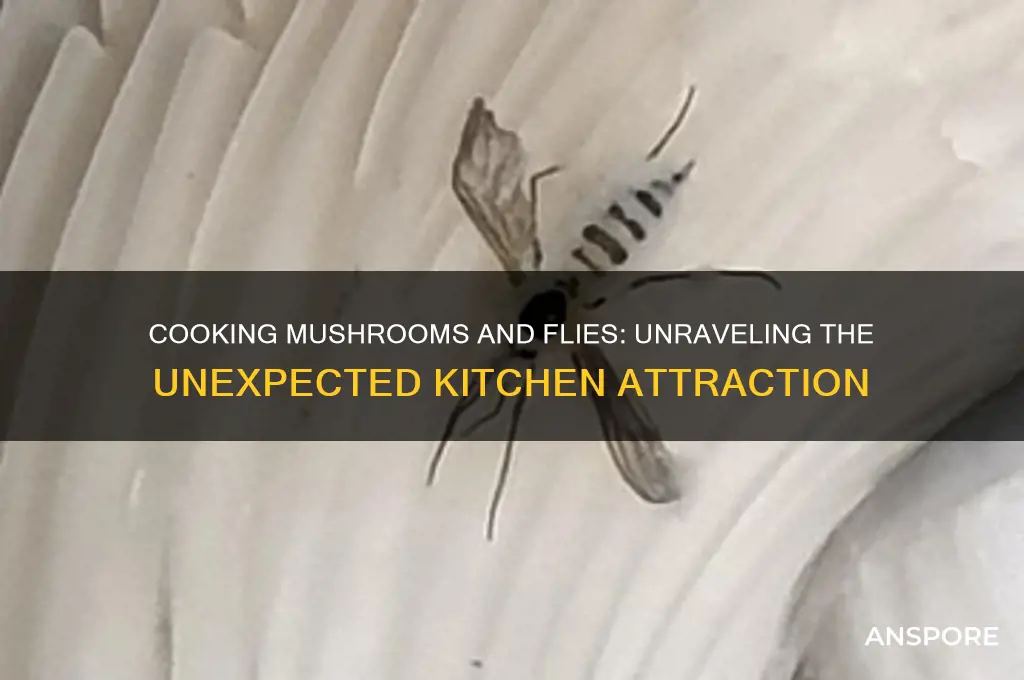 does cooking mushroom attract flies