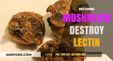 Cooking Mushrooms: Does Heat Destroy Lectins? Unveiling the Truth