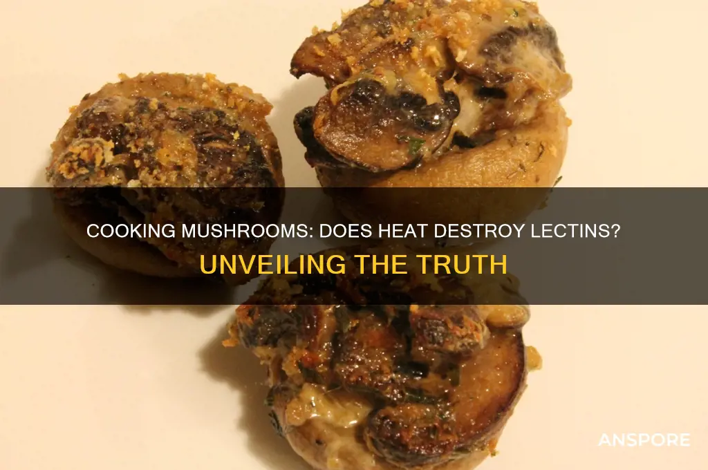does cooking mushrooms destroy lectin