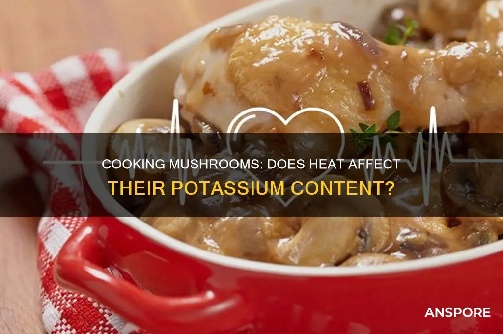 does cooking mushrooms destroy potassium
