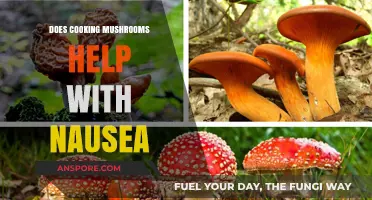 Can Cooking Mushrooms Ease Nausea? Exploring Natural Remedies for Relief
