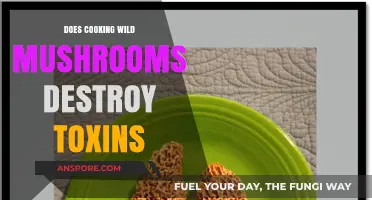 Cooking Wild Mushrooms: Does Heat Destroy Toxins or Pose Risks?