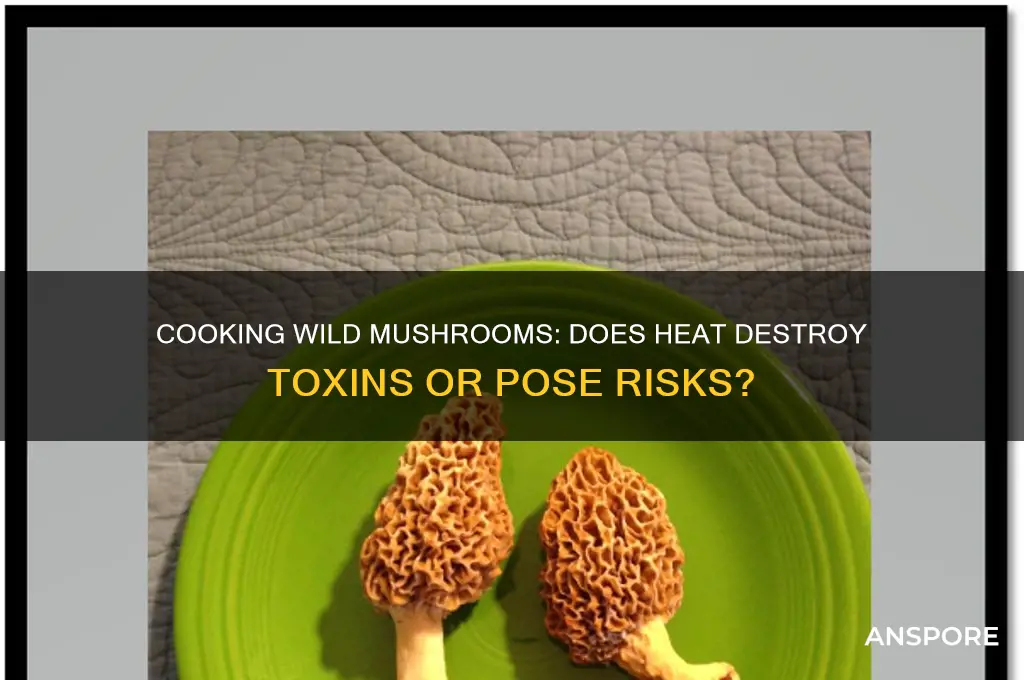 does cooking wild mushrooms destroy toxins