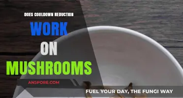 Cooldown Reduction on Mushrooms: Does It Work?
