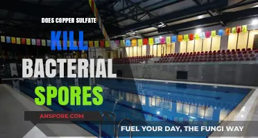 Copper Sulfate's Effectiveness Against Bacterial Spores: A Comprehensive Analysis