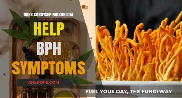 Cordyceps Mushrooms: A Natural Remedy for BPH Symptoms?