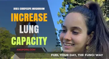 Cordyceps Mushrooms: Boosting Lung Capacity and Performance