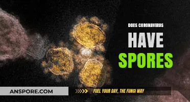 Does Coronavirus Form Spores? Unraveling the Myths and Facts