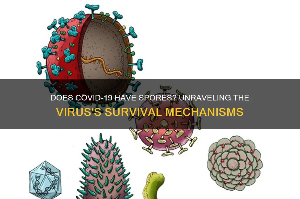 does covid 19 have spores