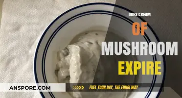 Mushroom Cream: How Long Does it Last?