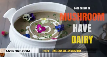 Does Cream of Mushroom Soup Contain Dairy? A Clear Answer