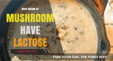 Mushroom Soup: Lactose-Friendly or Not?