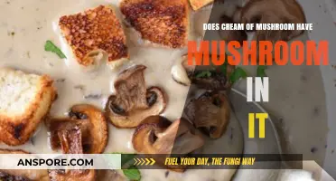 Does Cream of Mushroom Soup Actually Contain Real Mushrooms?