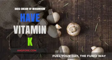 Mushroom Soup: A Rich Source of Vitamin K?