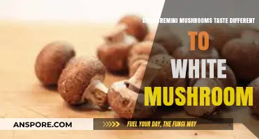 Cremini vs White Mushrooms: What's the Difference in Taste?