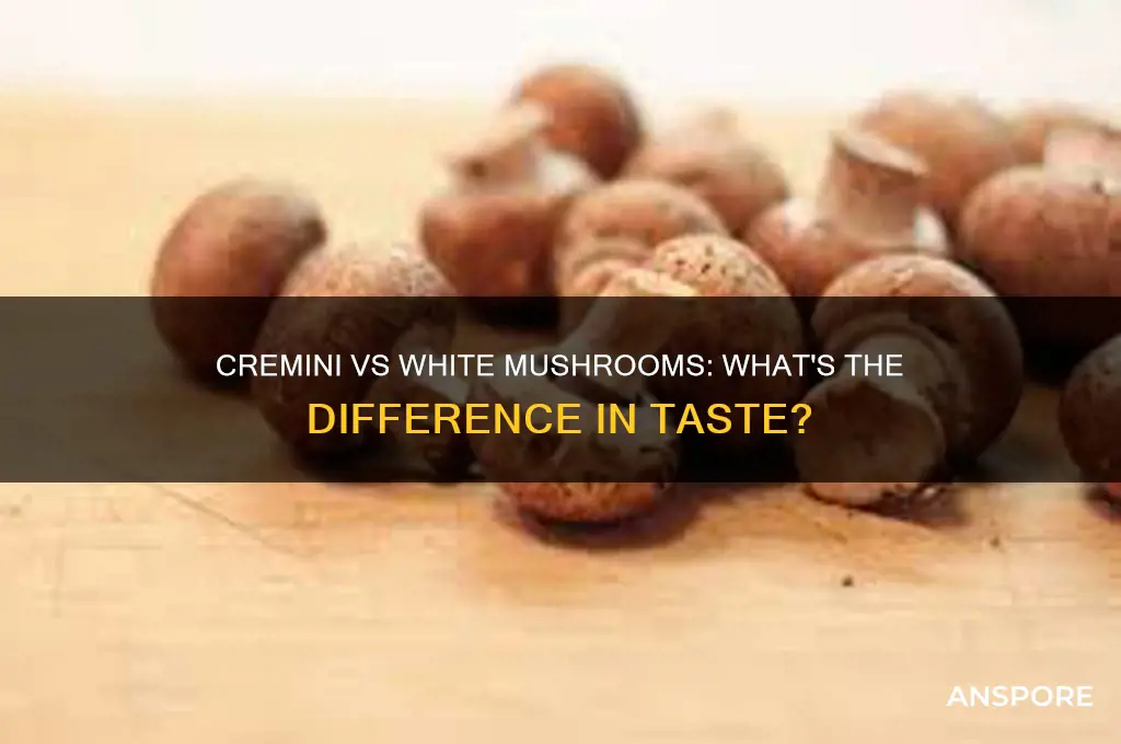 does cremini mushrooms taste different to white mushrooms