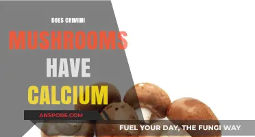 Crimini Mushrooms: Are They a Calcium-Rich Food?