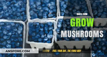 Can Semen Really Grow Mushrooms? Separating Fact from Fiction