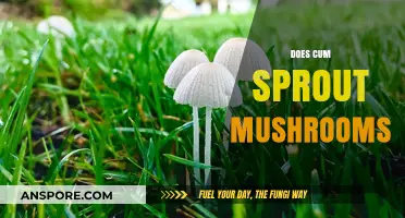 Cum and Mushrooms: Fertile Ground for Growth?